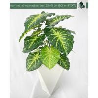 ราคา Pimarn กระถางต้นไม้ กระถางพลาสติก ขนาด 25×45 cm 10นิ้ว (A)ทรงเพชร สีขาว (10972398)