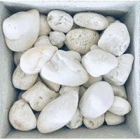 ราคา รวมซีเมนต์ หินประดับ ธรรมชาติ 3 ขาว (12010089)