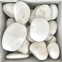 ราคา รวมซีเมนต์ หินประดับ ธรรมชาติ ขาว 4 (12010090)