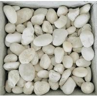 ราคา รวมซีเมนต์ หินประดับ ธรรมชาติ ขาว 1 (12010087)