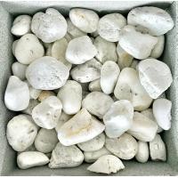 ราคา รวมซีเมนต์ หินประดับ ธรรมชาติ ขาว 2 (12010088)