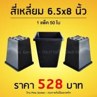 ราคา กระถางต้นไม้ ทรงสี่เหลี่ยม สูง 6.5x8 นิ้ว สีดำ 50 ใบ สีดำ - 50 ใบ (12136425)
