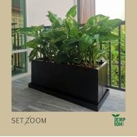 ราคา Terptoh ชุดกระถางต้นไม้ไฟเบอร์กลาสพร้อมถาดรอง รุ่น ZOOM ขาว (12127124)