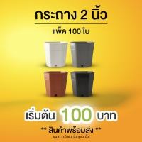 ราคา Pimy Garden กระถางกระบองเพชร ทรงแปดเหลี่ยม 2 นิ้ว แพ็ค 100 ใบ สีดำ - 100 ใบ (12136489)