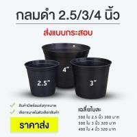 ราคา Pimy Garden กระถางพลาสติก ขนาด 2.5 นิ้ว 3 นิ้ว 4 นิ้ว ยกกระสอบ ถูกที่สุด 2.5 นิ้ว - 500 ใบ (12136907)