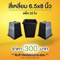 ราคา Pimy Garden กระถางทรงสี่เหลี่ยม สูง 6.5x8 นิ้ว สีดำ แพ็ค 25 ใบ สีดำ - 25 ใบ (12136872)