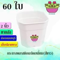 ราคา papamami กระถางพลาสติก กระถางดำ แปดเหลี่ยม 2นิ้ว กระถางปลูกต้นไม้ สีดำ (8ใบ) (12183656)