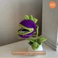 ราคา callingbrown กระถางต้นไม้ ดอกไม้แฮนด์เมด แบบถักโครเชต์ ของขวัญวันเกิดวันวาเลนไทน์ ต้นไม้จิ๋ว ถัก กระถางถัก chomper (12234616)