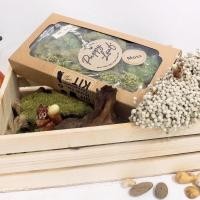 ราคา puppy leaf (dry moss) มอสแห้ง มอสจัดสวนขวด มอสแต่งสวนถาด (12205996)