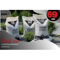ราคา plant more หินเกล็ดแต่งสวนmps black star 10 kg (ไม่ใช่หินเกล็ดก่อสร้าง) (12212851)