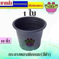 ราคา papamami กระถางพลาสติก กระถางดำ 10นิ้ว สีดำ กระถางไม้ด่าง กระถางปลูกไม้ด่าง ดำ (10ใบ) (12181800)