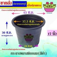 ราคา papamami กระถางพลาสติก 17นิ้ว กระถางดำ ดำ (6ใบ) (12418607)