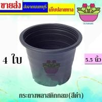 ราคา papamami กระถางพลาสติก กระถางดำ5.5นิ้ว กระถางต้นไม้ ที่ปลูกต้นไม้ สีดำ ดำ (9ใบ) (12433290)