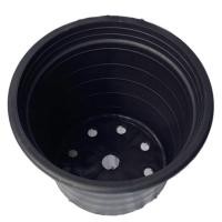 ราคา papamami กระถางพลาสติก กระถางดำ3นิ้ว กระถางต้นไม้ ที่ปลูกต้นไม้ กระถางแค็คตัส กระถางปลูกตอ สีดำ ดำ (9ใบ) (12433465)