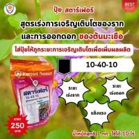 ราคา ฟาร์มเกษตร ปุ๋ยมะเขือ 3 สูตร ครบวงจร เพิ่มผลผลิตมะเขือ เร่งโต ใบเขียว เร่งราก เร่งดอก ผลใหญ่ ผลดก เพิ่มผลผลิต เร่งราก เร่งดอก (12581959)