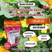 ราคา ฟาร์มเกษตร ปุ๋ยฟักทอง ปุ๋ยสูตรพิเศษสำหรับต้นฟักทอง เร่งโต ใบเขียว เร่งราก เร่งดอก ผลใหญ่ ผลดก เพิ่มผลผลิต เร่งราก เร่งดอก (12581998)