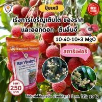 ราคา ฟาร์มเกษตร ปุ๋ย ฉีดพ่น ลิ้นจี่ โตไว ใบเขียว เร่งราก เร่งดอก ผลใหญ่ ผลดก น้ำหนักดี เพิ่มผลผลิต โดย สตาร์เฟอร์ เร่งราก เร่งดอก (12582471)