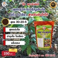 ราคา ฟาร์มเกษตร ปุ๋ยคุณภาพสูง ครบทุกความต้องการ ปุ๋ยสตาร์เฟอร์ เร่งโต ใบเขียว เร่งราก เร่งดอก ผลใหญ่ ผลดก สำหรับต้นโกโก้ เร่งโต เร่งเขียว (12582800)