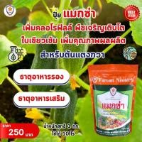 ราคา ฟาร์มเกษตร แมกซ่า ธาตุอาหารรอง ธาตุอาหารเสริมพืช แมกนีเซียม ซิงค์ เพิ่มคุณภาพและผลผลิตให้ต้นแตงกวา ปุ๋ยแมกซ่า 1 ห่อ (12582922)