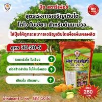 ราคา ฟาร์มเกษตร ปุ๋ยสตาร์เฟอร์ ปุ๋ยคุณภาพสูง 3 สูตร ครบทุกความต้องการ ต้นมะม่วง เร่งโต ใบเขียว เร่งราก เร่งดอก ผลใหญ่ ผลดก สูตร เร่งโต ใบเขียว (12582364)