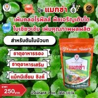 ราคา ฟาร์มเกษตร แมกนีเซียม สังกะสี ธาตุรอง ธาตุเสริม สำหรับต้นใบบัวบก เพิ่มครอโรฟิลล์ เร่งโต ใบเขียว เพิ่มคุณภาพผลผลิต ปุ๋ยแมกซ่า 1 ห่อ (12582479)