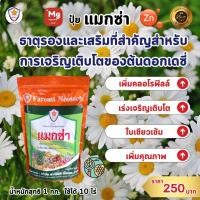 ราคา ฟาร์มเกษตร แมกนีเซียม สังกะสี ธาตุรอง ธาตุเสริม สำหรับต้นดอกเดซี่ เพิ่มครอโรฟิลล์ เร่งโต ใบเขียว เพิ่มคุณภาพผลผลิต ปุ๋ยแมกซ่า 1 ห่อ (12581802)
