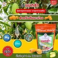 ราคา ฟาร์มเกษตร แมกนีเซียม สังกะสี ธาตุรอง ธาตุเสริม สำหรับต้นมะม่วง เพิ่มครอโรฟิลล์ เร่งโต ใบเขียว เพิ่มคุณภาพผลผลิต ปุ๋ยแมกซ่า 1 ห่อ (12581930)