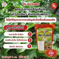 ราคา ฟาร์มเกษตร ปุ๋ย มะระจีน สตาร์เฟอร์ ปุ๋ยคุณภาพ โตไว ใบเขียว เร่งราก เร่งดอก ผลใหญ่ ผลดก น้ำหนักดี เพิ่มผลผลิต เร่งโต ใบเขียว (12581960)