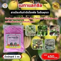 ราคา ฟาร์มเกษตร Metalaxyl เป็นสารเคมีป้องกันกำจัดโรคพืช ประเภทดูดซึม ในต้นพุทรา และเร่งฟื้นฟู ด้วย ปุ๋ยสตาร์เฟอร์ 30-20-5 กำจัดเชื้อรา โรคพืช (12582090)