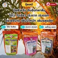 ราคา ฟาร์มเกษตร ปุ๋ย ฉีดพ่น ต้นอินทผาลัม โตไว ใบเขียว เร่งราก เร่งดอก ผลใหญ่ ดกเต็มต้น น้ำหนักดี เพิ่มผลผลิต ชุด 3 สูตร (12582207)