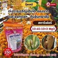 ราคา ฟาร์มเกษตร ปุ๋ย ฉีดพ่น ต้นอินทผาลัม โตไว ใบเขียว เร่งราก เร่งดอก ผลใหญ่ ดกเต็มต้น น้ำหนักดี เพิ่มผลผลิต เร่งราก เร่งดอก (12582209)