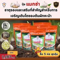 ราคา ฟาร์มเกษตร แมกซ่า ธาตุอาหารรอง ธาตุอาหารเสริมพืช แมกนีเซียม ซิงค์ เพิ่มคุณภาพและผลผลิตให้ต้นกระเทียม ปุ๋ยแมกซ่า 5 ห่อ (12582331)