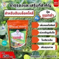 ราคา ฟาร์มเกษตร แมกซ่า ธาตุอาหารรอง ธาตุอาหารเสริมพืช แมกนีเซียม ซิงค์ เพิ่มคุณภาพและผลผลิตให้ต้นบล็อคโคลี่ ปุ๋ยแมกซ่า 1 ห่อ (12582497)