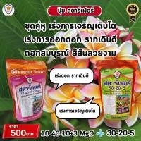 ราคา ฟาร์มเกษตร ปุ๋ยสตาร์เฟอร์ สูตร 10-40-10+3 MgO: เคล็ดลับเพิ่มประสิทธิภาพในการเจริญเติบโตและการออกดอกของต้นดอกลีลาวดี ชุดเร่งโต+เร่งดอก (12582604)