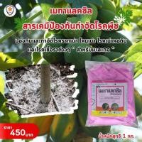 ราคา ฟาร์มเกษตร Metalaxyl เป็นสารเคมีป้องกันกำจัดโรคพืช ประเภทดูดซึม ออกฤทธิ์กว้าง และเร่งฟื้นฟู ด้วย ปุ๋ยสตาร์เฟอร์ 30-20-5 กำจัดเชื้อรา โรคพืช (12582661)