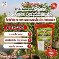 ราคา ฟาร์มเกษตร ปุ๋ยสตาร์เฟอร์ ปุ๋ยครบสูตร ครบทุกความต้องการของต้นอะโวคาโด เร่งโต ใบเขียว เร่งราก เร่งดอก ผลใหญ่ ผลดก เร่งโต เร่งเขียว (12582823)