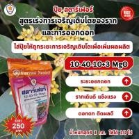 ราคา ฟาร์มเกษตร ปุ๋ยสตาร์เฟอร์ ปุ๋ยครบสูตร ครบทุกความต้องการของต้นอะโวคาโด เร่งโต ใบเขียว เร่งราก เร่งดอก ผลใหญ่ ผลดก เร่งราก เร่งดอก (12582824)