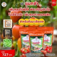 ราคา ฟาร์มเกษตร แมกซ่า ธาตุอาหารรอง ธาตุอาหารเสริมพืช แมกนีเซียม ซิงค์ ครอโรฟิลล์ เร่งโต ใบเขียว ปุ๋ยแมกซ่า 3 ห่อ (12583547)