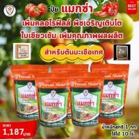 ราคา ฟาร์มเกษตร แมกซ่า ธาตุอาหารรอง ธาตุอาหารเสริมพืช แมกนีเซียม ซิงค์ ครอโรฟิลล์ เร่งโต ใบเขียว ปุ๋ยแมกซ่า 5 ห่อ (12583548)