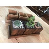 ราคา Naijanshop กระถางใส่ต้นกระบองเพชร กระถางต้นไม้ ขนาดกระถาง 65x65 สูง 6 ซม. เซ็ต 3 ชิ้นมาพร้อมถาดรอง สีโอ๊ค (12565280)