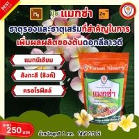 ราคา ฟาร์มเกษตร ธาตุอาหารรอง ธาตุอาหารเสริม ที่จำเป็นของต้นดอกลีลาวดี แม็กนีเซียม ซิงค์ สร้างความแข็งแรง บำรุงดิน บำรุงพืช ปุ๋ยแมกซ่า 1 ห่อ (12583452)