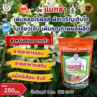 ราคา ฟาร์มเกษตร แมกนีเซียม สังกะสี ธาตุรอง ธาตุเสริม สำหรับต้นดอกแก้ว เพิ่มครอโรฟิลล์ เร่งโต ใบเขียว เพิ่มคุณภาพผลผลิต ปุ๋ยแมกซ่า 1 ห่อ (12581248)