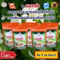 ราคา ฟาร์มเกษตร แมกนีเซียม สังกะสี ธาตุรอง ธาตุเสริม สำหรับต้นดอกแก้ว เพิ่มครอโรฟิลล์ เร่งโต ใบเขียว เพิ่มคุณภาพผลผลิต ปุ๋ยแมกซ่า 5 ห่อ (12581250)