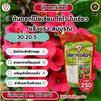 ราคา ฟาร์มเกษตร เร่งการออกดอกและเร่งรากด้วยปุ๋ยสตาร์เฟอร์ สูตร 10-40-10 สำหรับต้นดอกโป๊ยเซียน เร่งการเจริญเติบโต (12583293)