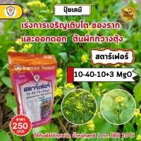 ราคา ฟาร์มเกษตร ปุ๋ย ฉีดพ่น ต้นผักกวางตุ้ง โตไว ใบเขียว เขียวไว เขียวนาน แข็งแรง น้ำหนักดี เพิ่มผลผลิต โดย สตาร์เฟอร์ เร่งราก เร่งดอก (12583482)