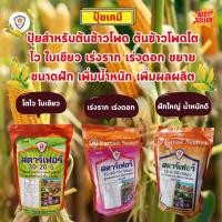 ราคา ฟาร์มเกษตร ปุ๋ย ฉีดพ่น ต้นข้าวโพด โตไว ใบเขียว เร่งราก เร่งดอก ฝักใหญ่ เมล็ดเต็ม น้ำหนักดี เพิ่มผลผลิต โดย สตาร์เฟอร์ ชุด 3 สูตร (12581640)