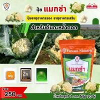 ราคา ฟาร์มเกษตร แมกซ่า ธาตุอาหารรอง ธาตุอาหารเสริมพืช แมกนีเซียม ซิงค์ เพิ่มคุณภาพและผลผลิตให้ต้นกะหล่ำดอก ปุ๋ยแมกซ่า 1 ห่อ (12582963)