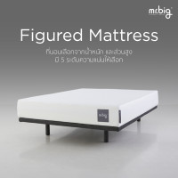 ราคา mr.big ที่นอน Figured Mattress ที่นอนที่เลือกด้วย น้ำหนัก ส่วนสูง และรูปร่าง 3.5 ฟุต Figured 4 (12369998)