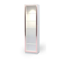 ราคา FDN Furniture ตู้โชว์กระจกมีไฟ ตู้โชว์โมเดล ขนาด 60*40*230 ซม. รุ่น GS-601 สีขาว/พิ้งค์โกล์ด (12638178)