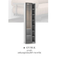 ราคา FDN Furniture ตู้โชว์กระจกมีไฟ ตู้โชว์โมเดล ขนาด 60*40*230 ซม. รุ่น EGS-601 สีเทา/ดำ (12638170)
